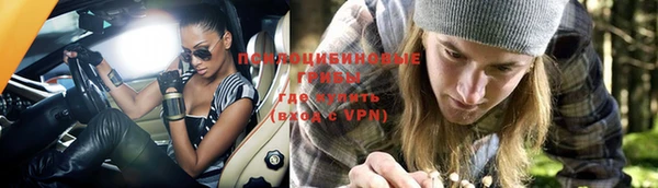 соль ск Киреевск