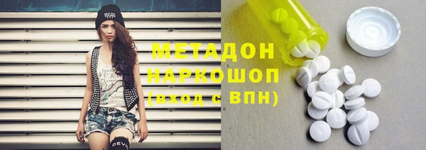 индика Каменка