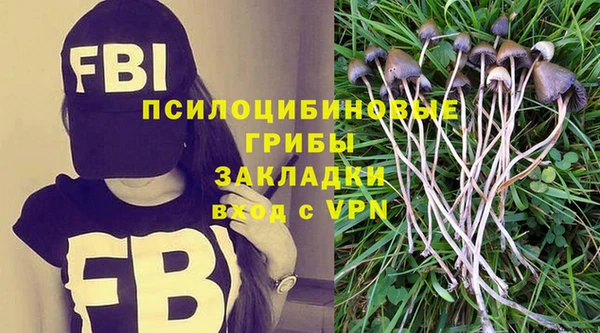 соль ск Киреевск