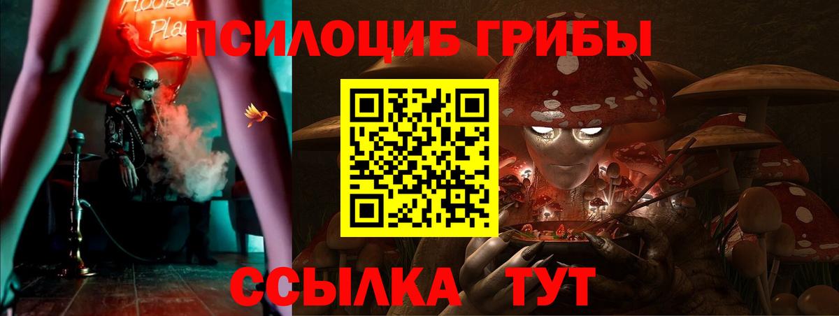 Краснокамск  Галлюциногенные грибы Psilocybe  Вход с VPN  Галлюциногенные грибы мухоморы 